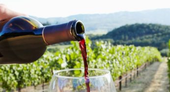 Campania Wine History and Suggestion